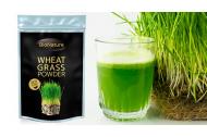 zľava Mladá zelená pšenica v organickej kvalite s množstvom priaznivých účinkov pre vaše zdravie