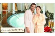 zľava Romantický 3 - dňový wellness pobyt pre 2 osoby s polpenziou, vstupom do wellness, masážou a ďalšími výhodami v Clubhoteli*** Nezábudka