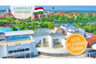 zľava Oddych s ubytovaním v komfortných apartmánoch pri Hungarospa - najväčšom kúpeľnom komplexe v Európe