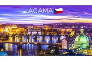 zľava 1-dňový zájazd na vianočné trhy do Prahy aj s prehliadkou centra