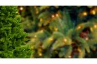 zľava Umelý vianočný stromček jedlička alebo borovica s podstavcom a v rôznych veľkostiach