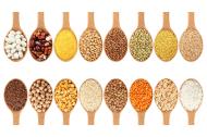 zľava Biomiska na klíčenie semien - vypestujte si 100% bio klíčky, ktoré dochutia každé jedlo a doplnia telu dôležité živiny